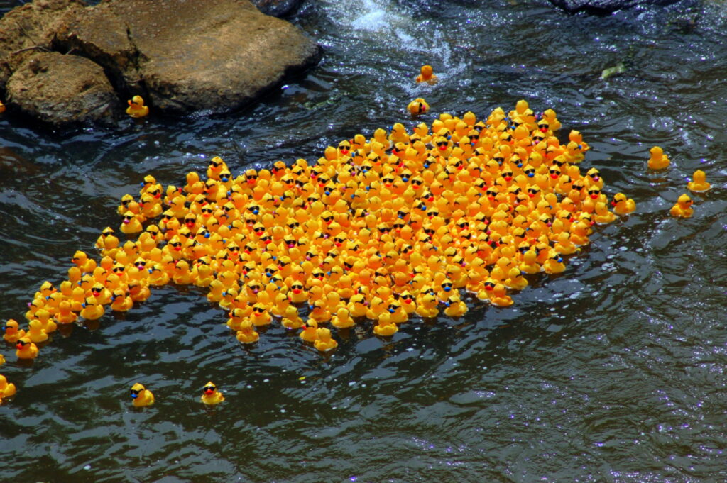 rubber duckie race as a metaphor for Meta ad testing